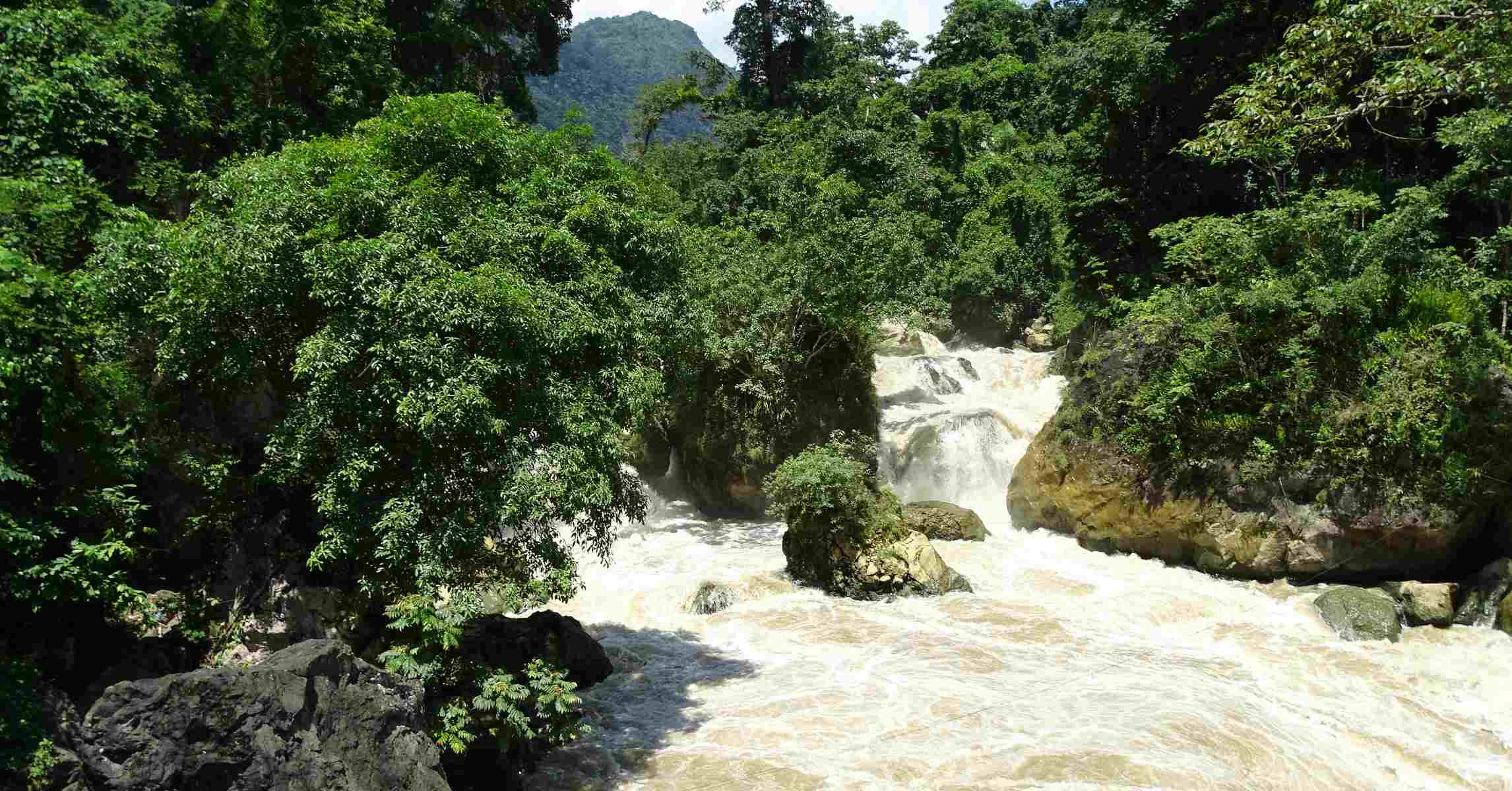 Thác Đầu Đẳng mùa nước lớn, dòng nước đục phù sa đổ qua các bậc đá giữa rừng