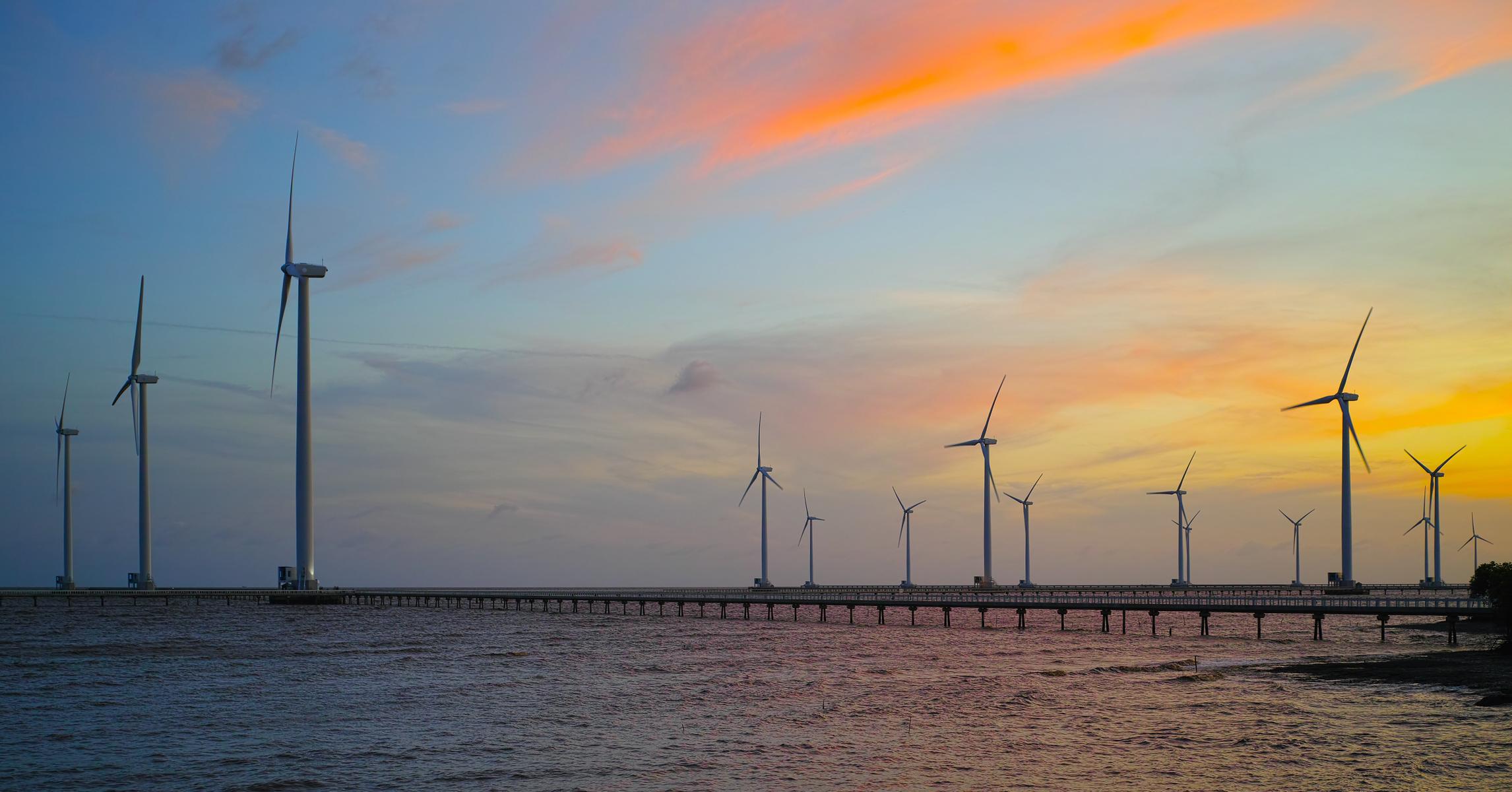 Bạc Liêu: vé 45k thăm nhà Công tử, cánh đồng điện gió 62 turbine