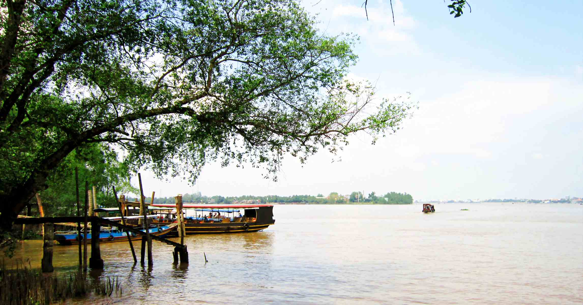 Thuyền du lịch cập bến trên sông Tiền tại cồn Phụng, Bến Tre, dưới bóng cây ven bờ