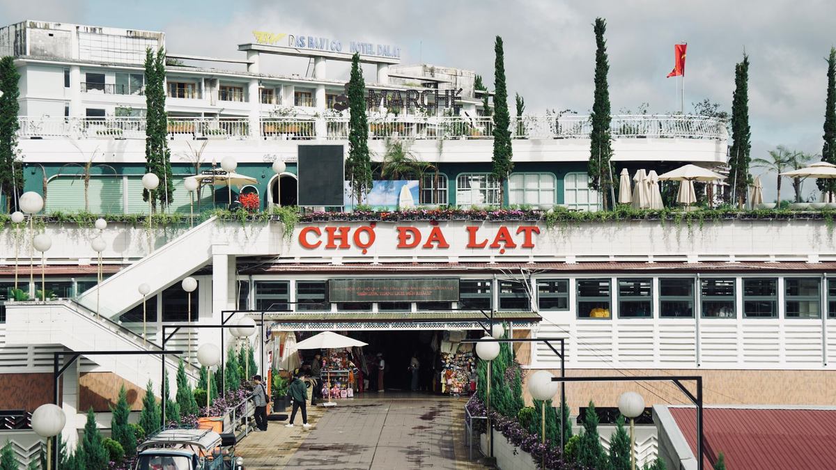 Kinh nghiệm du lịch Đà Lạt tự túc: lịch trình, thời điểm đẹp & mẹo lưu kỷ niệm