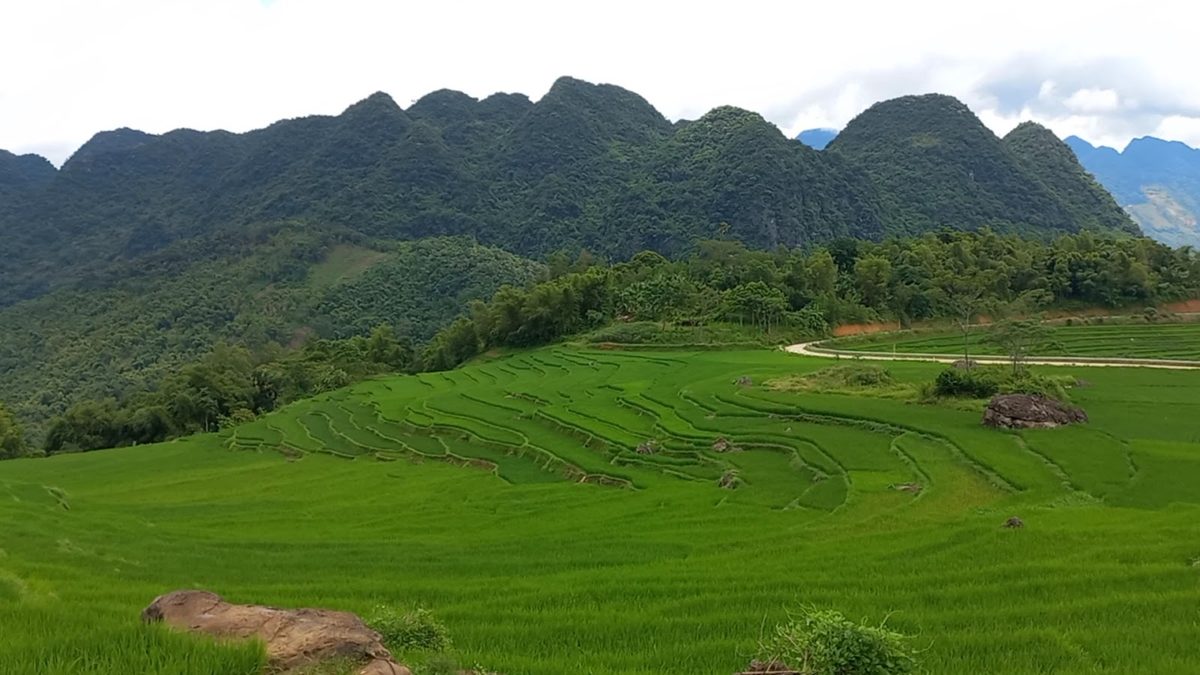 Ruộng bậc thang xanh trải rộng dưới chân dãy núi đá vôi ở Pù Luông, Thanh Hóa