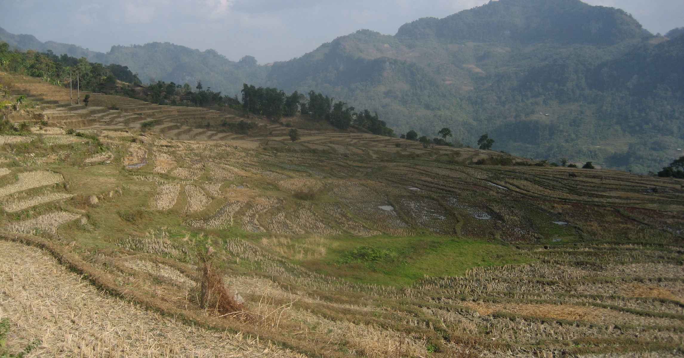 Ruộng bậc thang trên sườn núi ở vùng Na Hang, Tuyên Quang