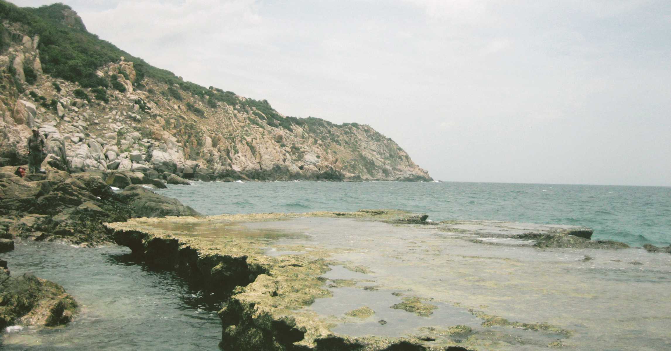 Bãi đá san hô hóa thạch phủ rêu ở Hang Rái, ven biển Ninh Thuận