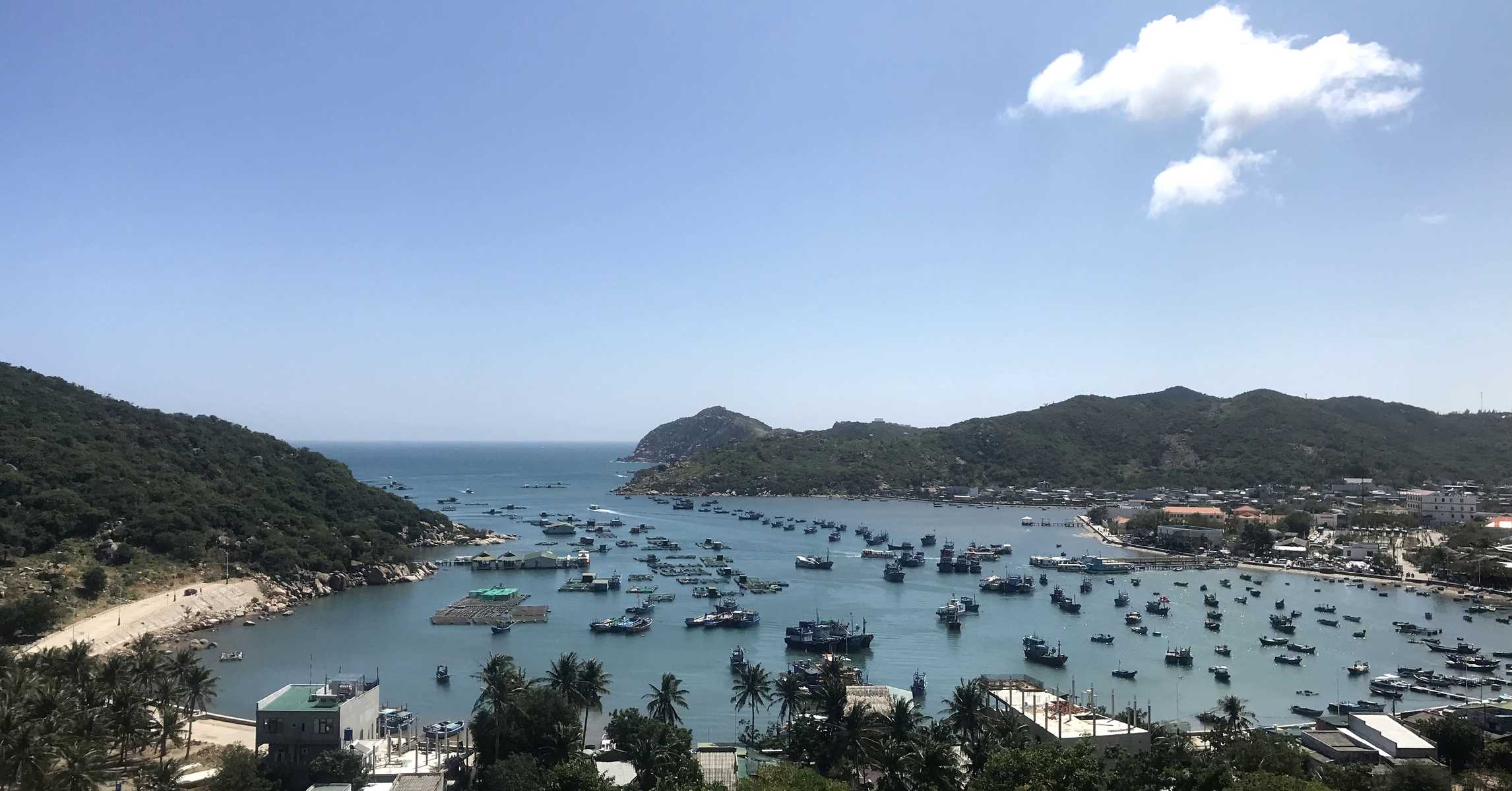 Ninh Thuận: vịnh Vĩnh Hy, vườn nho Thái An và đồng cừu An Hòa